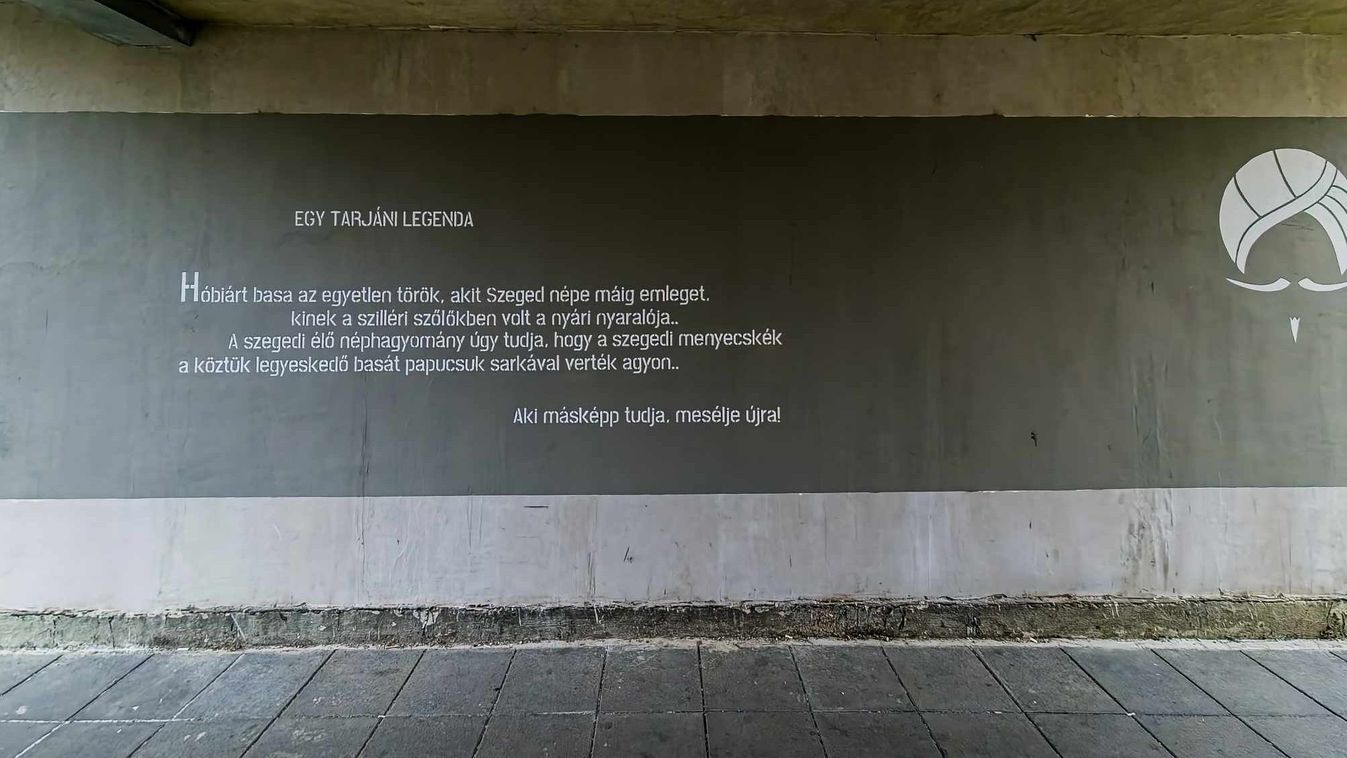 Hóbiárt basa, a rajtaveszett szegedi török szoknyabolond