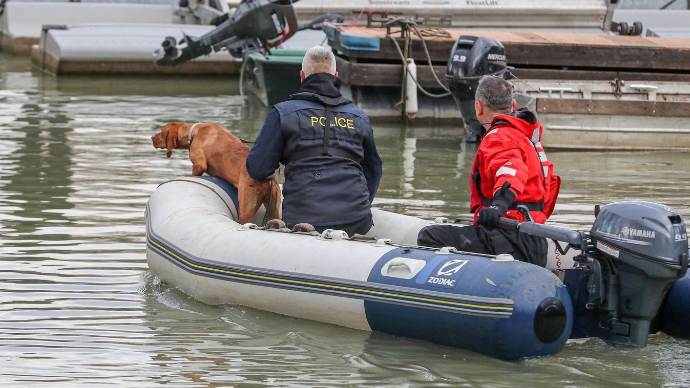 Szegedi szemmel: mire képes egy profi tetemkereső kutya?