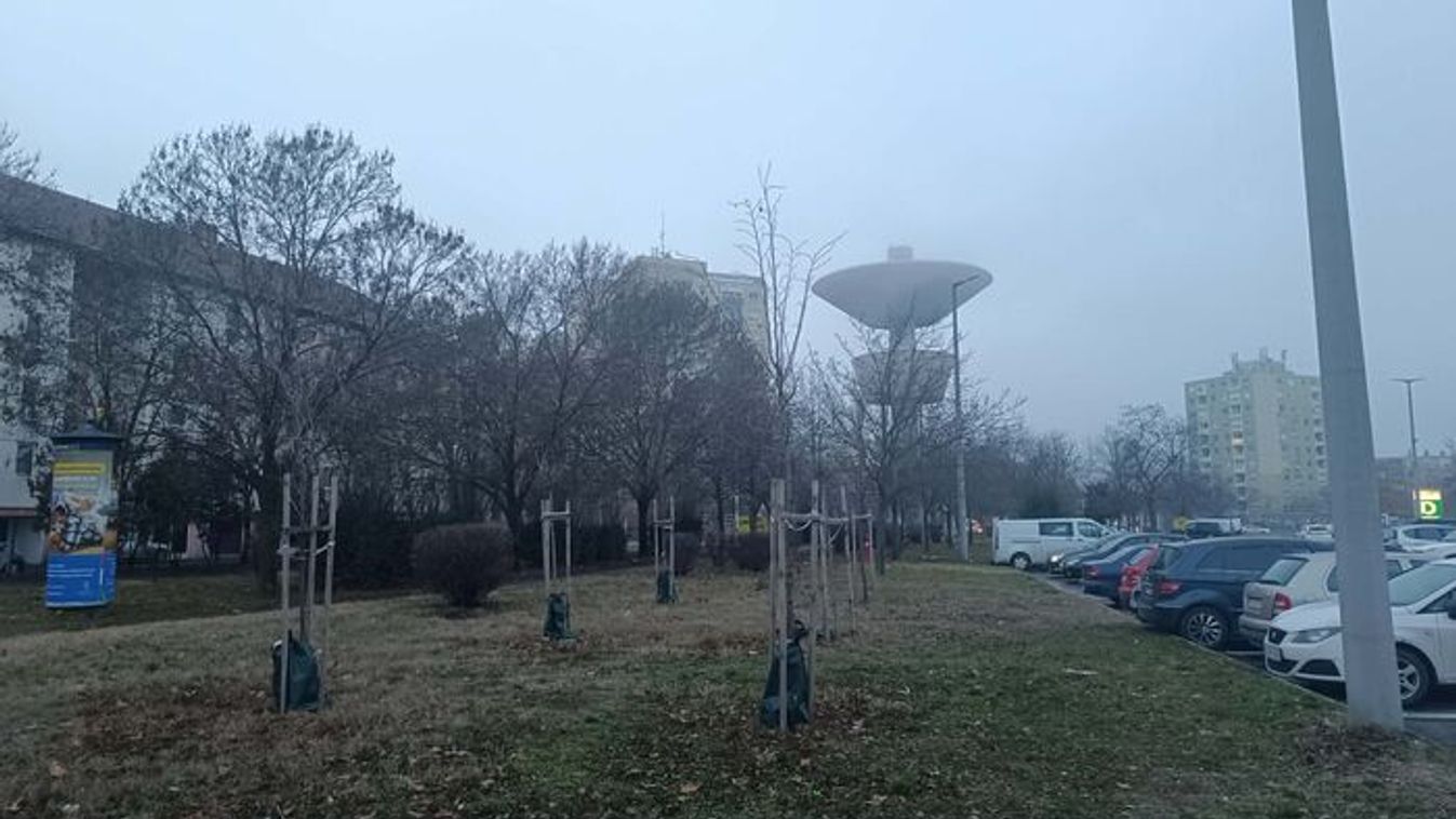 Párás hideg és köd jellemzi a vasárnapot Szegeden