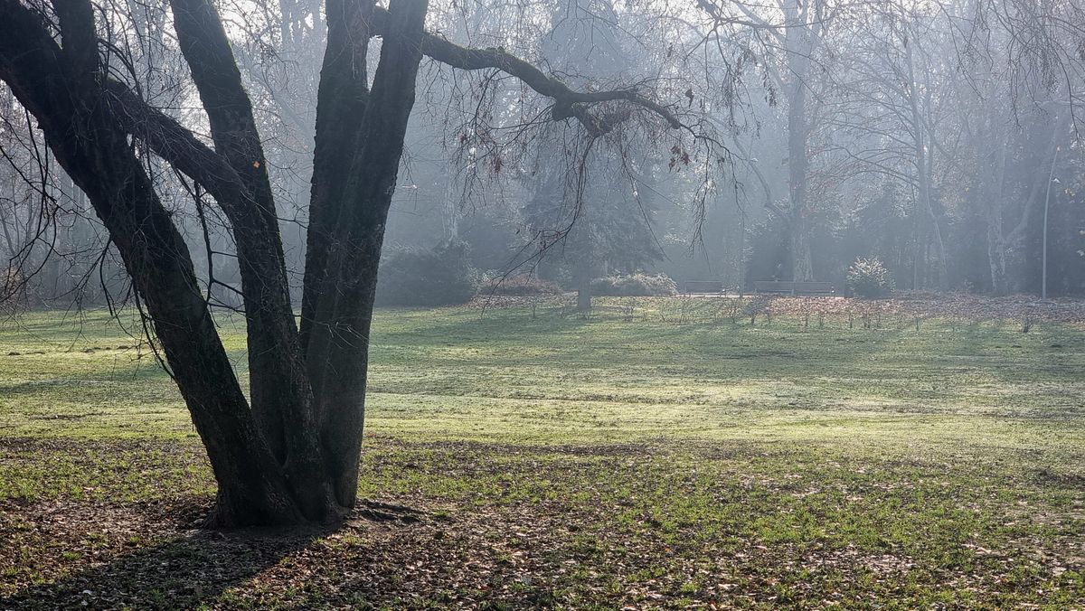 Télies, de nyugodt időjárás jellemzi a pénteki napot Szegeden