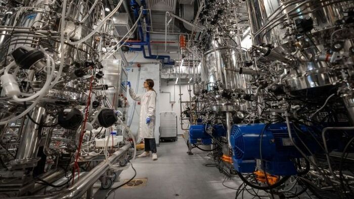 Így forgathatná fel a szegedi gasztronómiát a betiltott műhús