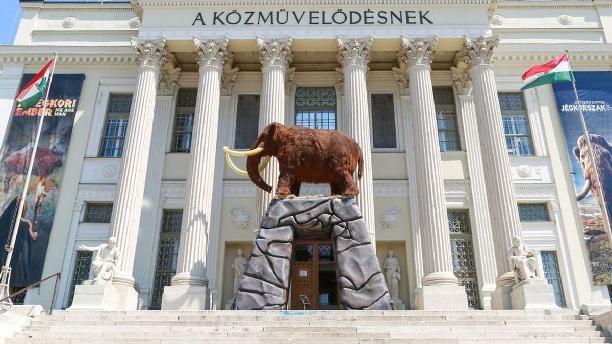 Közönségszavazással kap nevet a szegedi mamut