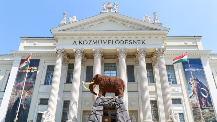 Kortárs magyar művek gazdagítják a szegedi múzeumot