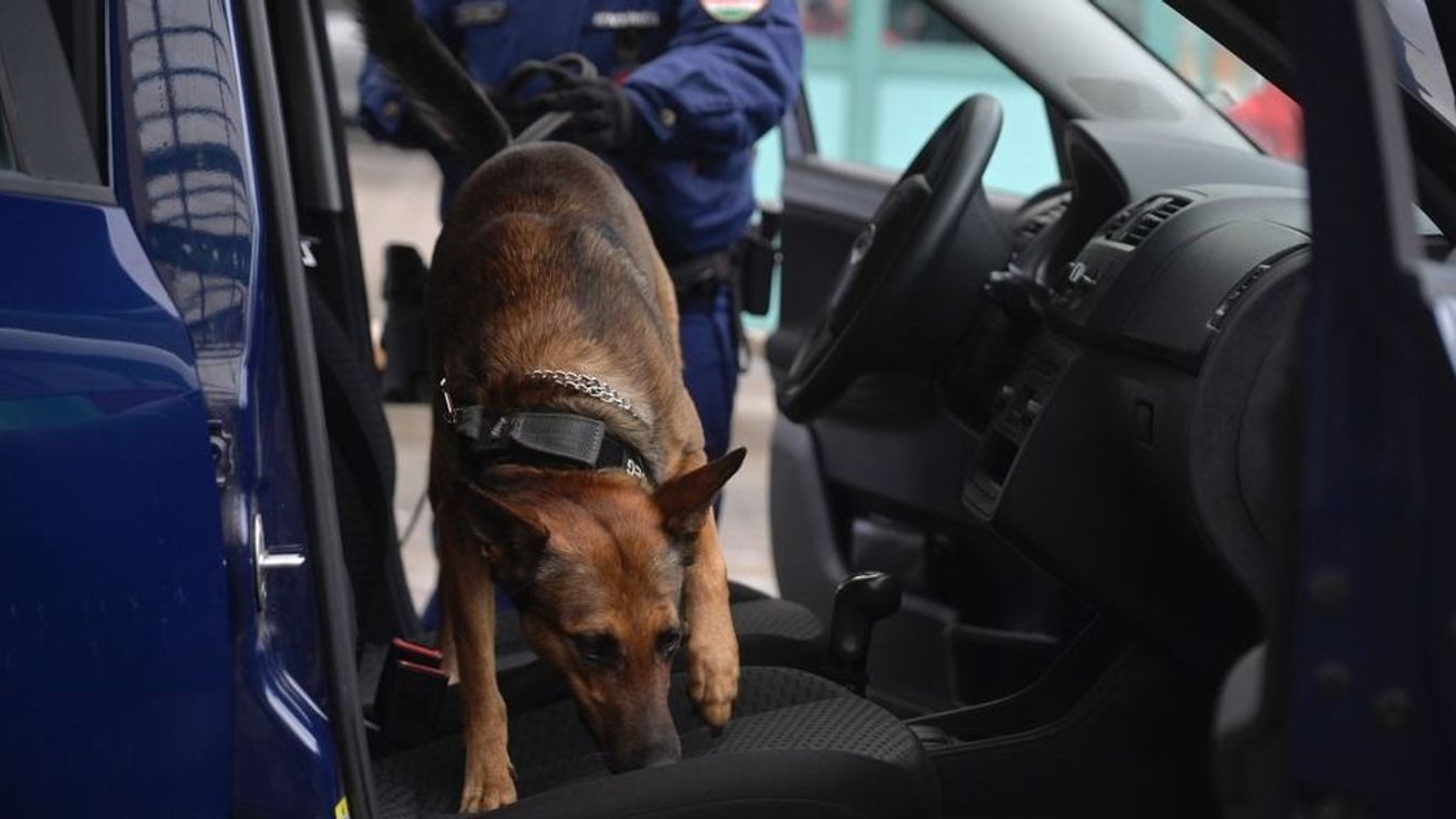 Milliárdos drogfogások: a DELTA Program újabb sikerei +fotók