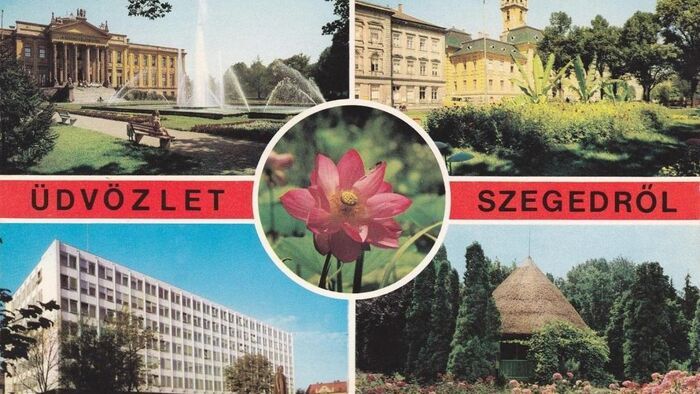 Képeslap küldés okosan: így kerüld el a sorban állást a szegedi postán