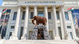 Keresztelőre készül a jégkorszak óriása Szegeden
