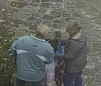 A Betyárok Tanyája segítséget kér a tolvajok megtalálásában. (Fotó: Facebook)