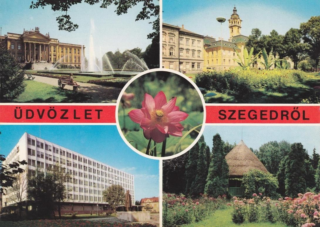 Szegeden is reneszánszát éli a személyes hangvételű képeslap küldés. (Fotó: egykor.hu)