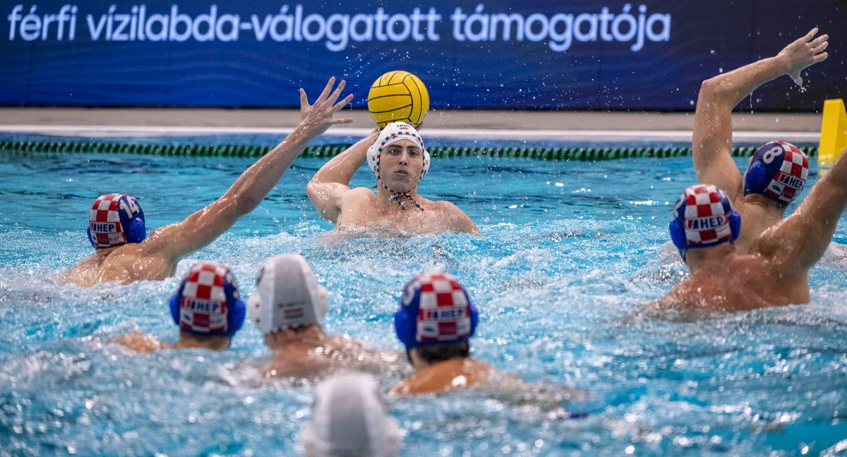 VIGVÁRI Vince