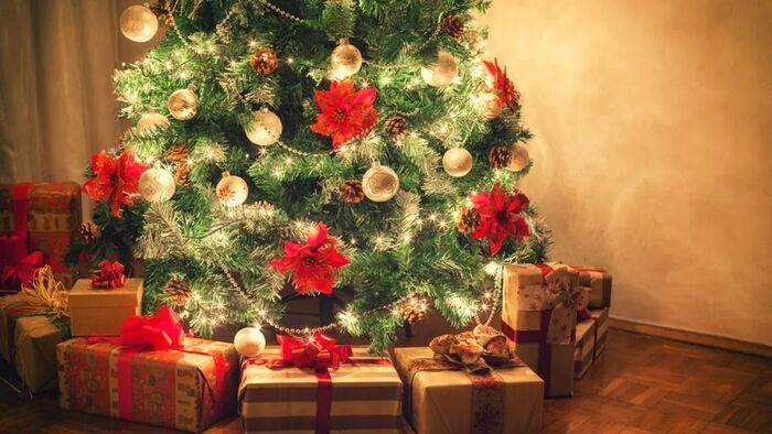 A karácsonyfa születése: ősi életfától a Klauzál térig