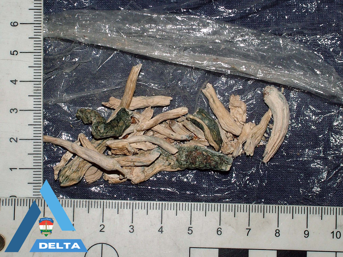 Vádat emelt az ügyészség a szegedi drogkereskedő lemezlovasok ellen. (Fotó: police.hu)