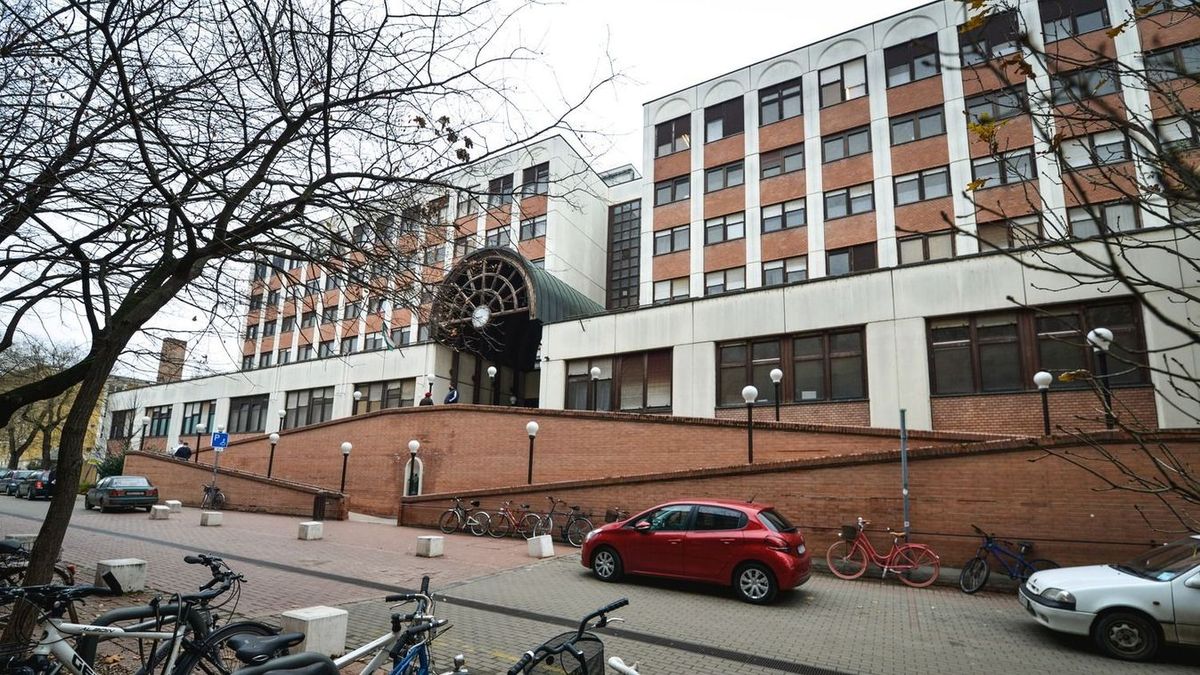 A főváros után Szegeden zajlott tavaly a legtöbb veseátültetés.