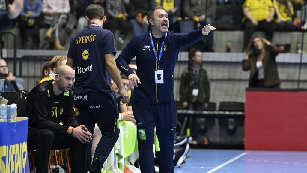 Michael Apelgren vezetheti a svéd válogatottat. (Fotó: AFP)