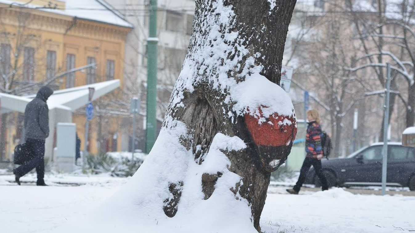 Rég látott nagy hó hullhat Szegeden