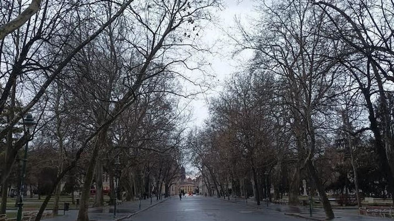 Jó reggelt Szeged! Kezdje itt a napot csütörtök reggel!