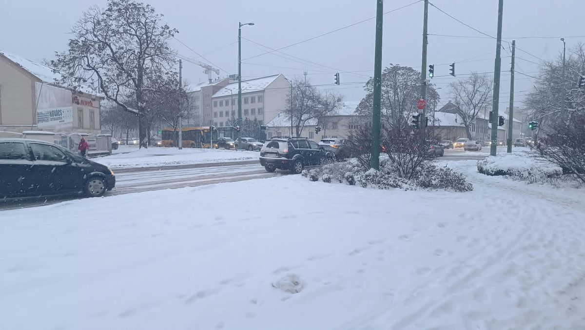 Jó reggelt Szeged: összegyűjtöttük a legfontosabb információkat Szegedről