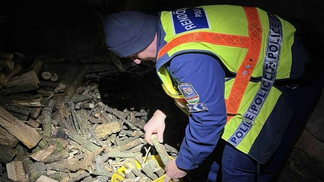 Bajban az idős nő: rendőrök nyújtottak segítő kezet a hidegben