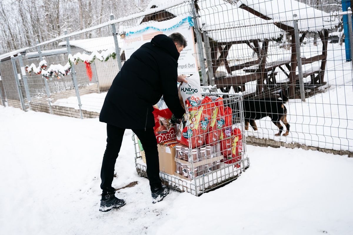 Mihálffy Béla támogatást vitt a szegedi állatmenhelynek