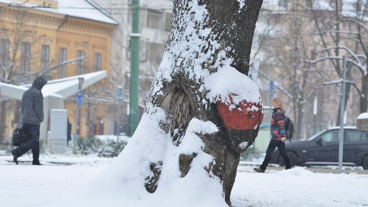A szakemberek szerint 15 centis havazás várható. (Fotó: SzegedMA)