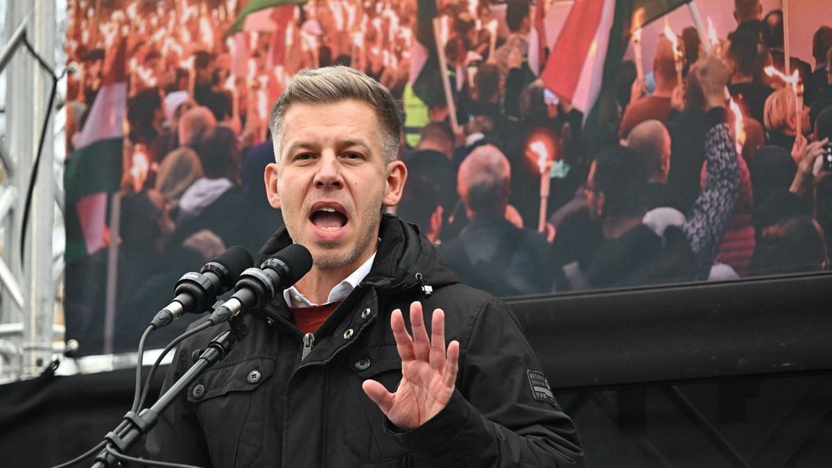 Magyar Péter (Fotó: Hatlaczki Balázs)
