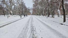 Üzentek Botka Lászlónak: Hogy nem szakad magára az ég?!