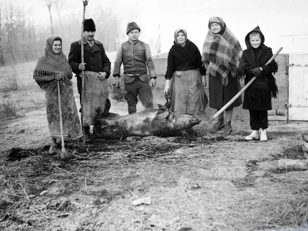 Egy disznóvágás több volt puszta húsfeldolgozásnál. (Fotó: Fortepan/Fodor András örökösei)