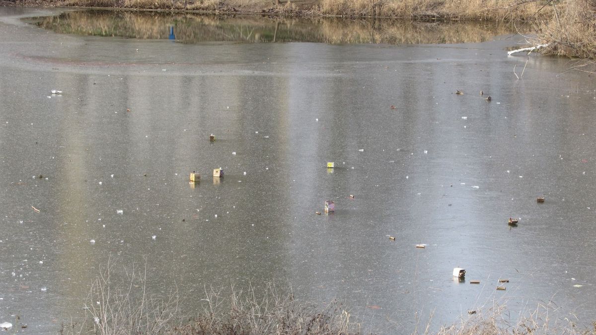 Szomorú látványt nyújtott a befagyott Zápor-tó jeges, újévi meglepetése. (Fotó: Facebook)