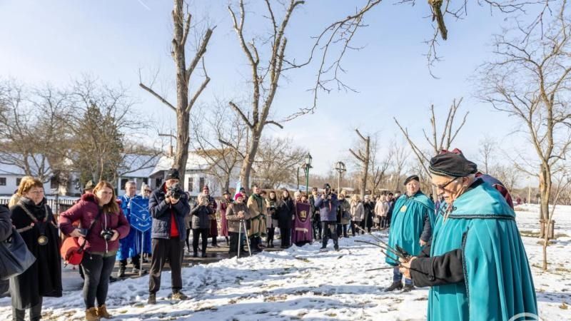 Ópusztaszeren jó szőlőtermést vetítenek előre