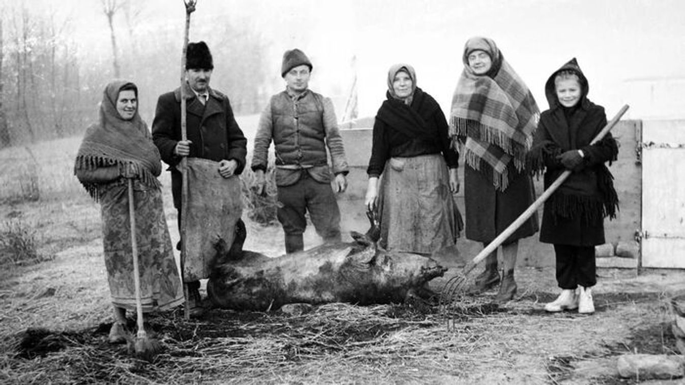Nem csak pálinka: mágia és jóslás a szegedi disznóvágáson