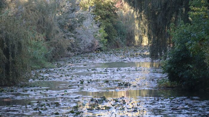 "Ez így nem mehet tovább" - hiába várnak évek óta a megoldásra a Holt-Maros sétányon