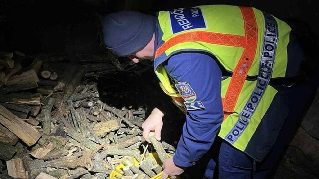 Bajban az idős nő: rendőrök nyújtottak segítő kezet a hidegben