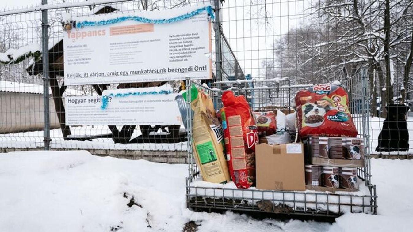 Megtelt a Tappancs: segítség érkezett a szegedi menhelynek +videó
