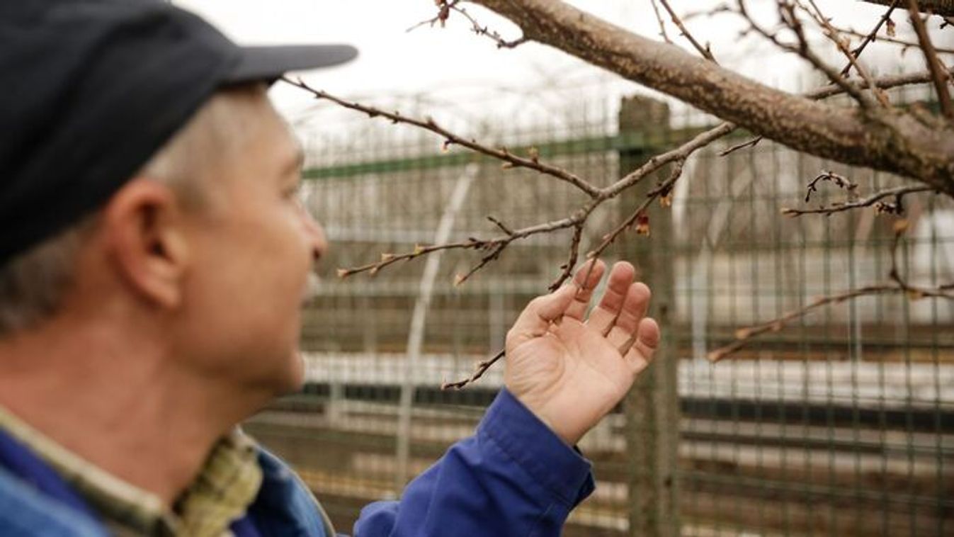 Kétmilliárd forintnyi vissza nem térítendő támogatással segíti az agrártárca