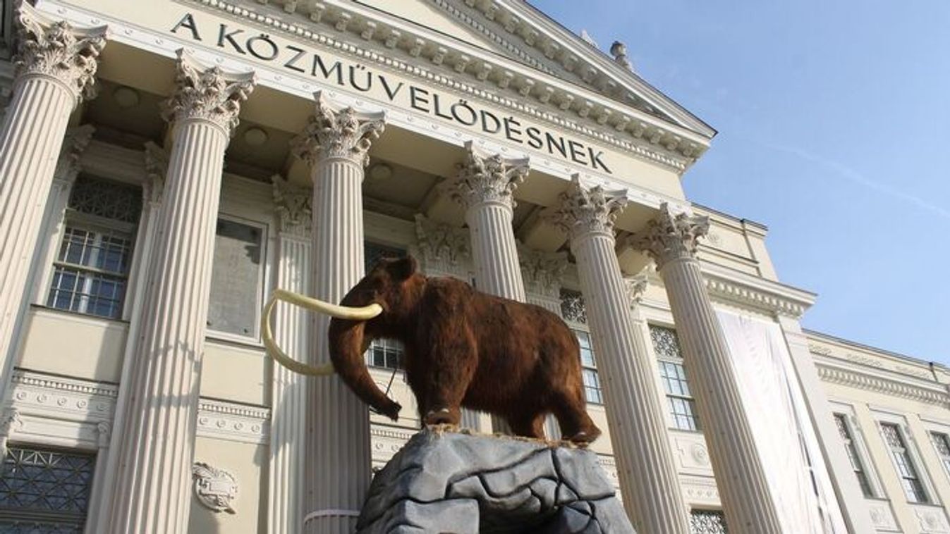 Százezredik vendég a Móra Ferenc Múzeumban: tarol a jégkorszak-kiállítás