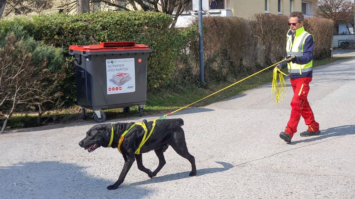 A mentőkutya képzés során a résztvevők valódi terepkörülmények között sajátíthatják el az életmentés technikáit. Fotó: Illusztráció