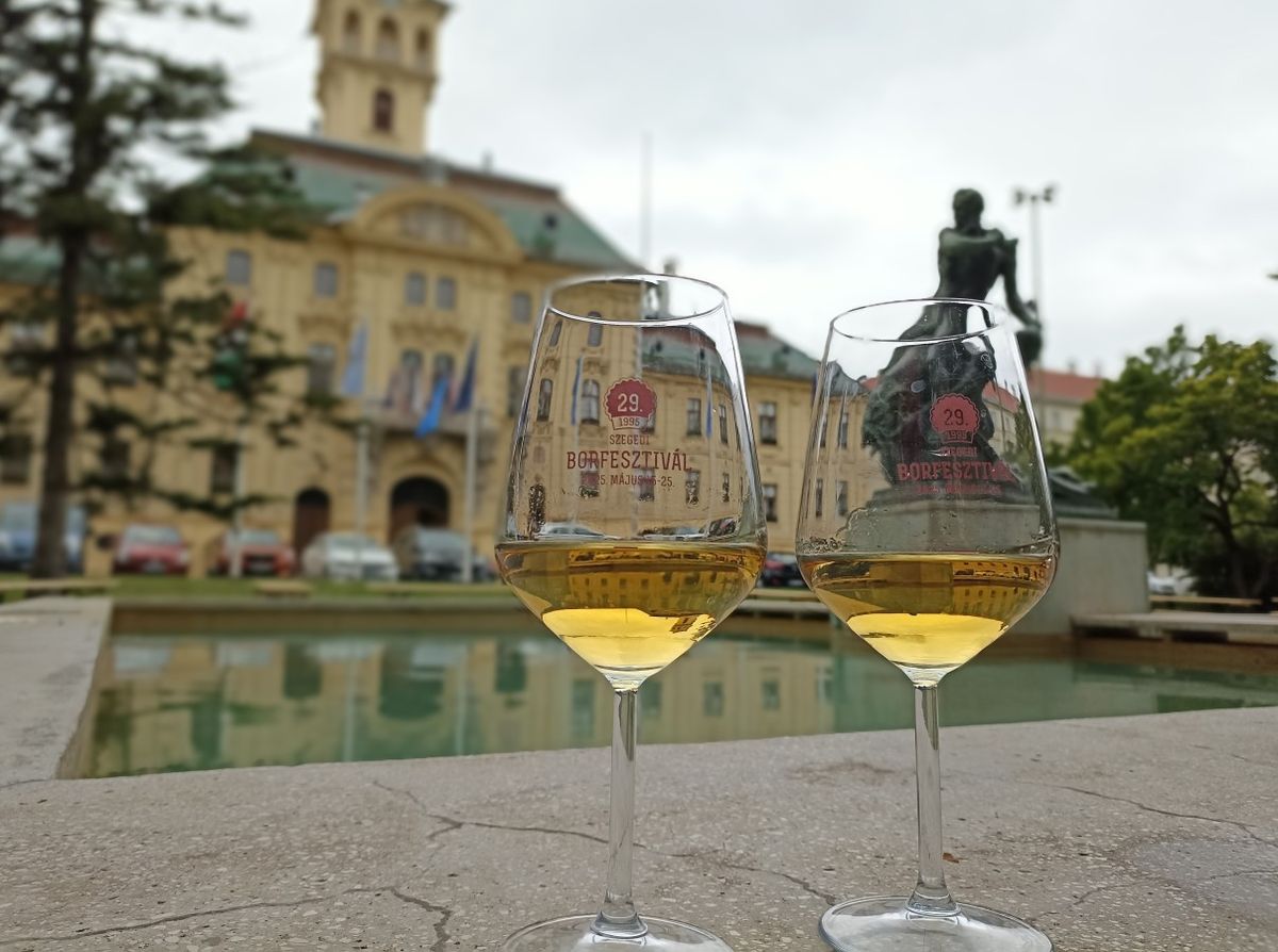 Rekordot döntött a magyar bor exportja. Fotó: Hét Nap Online