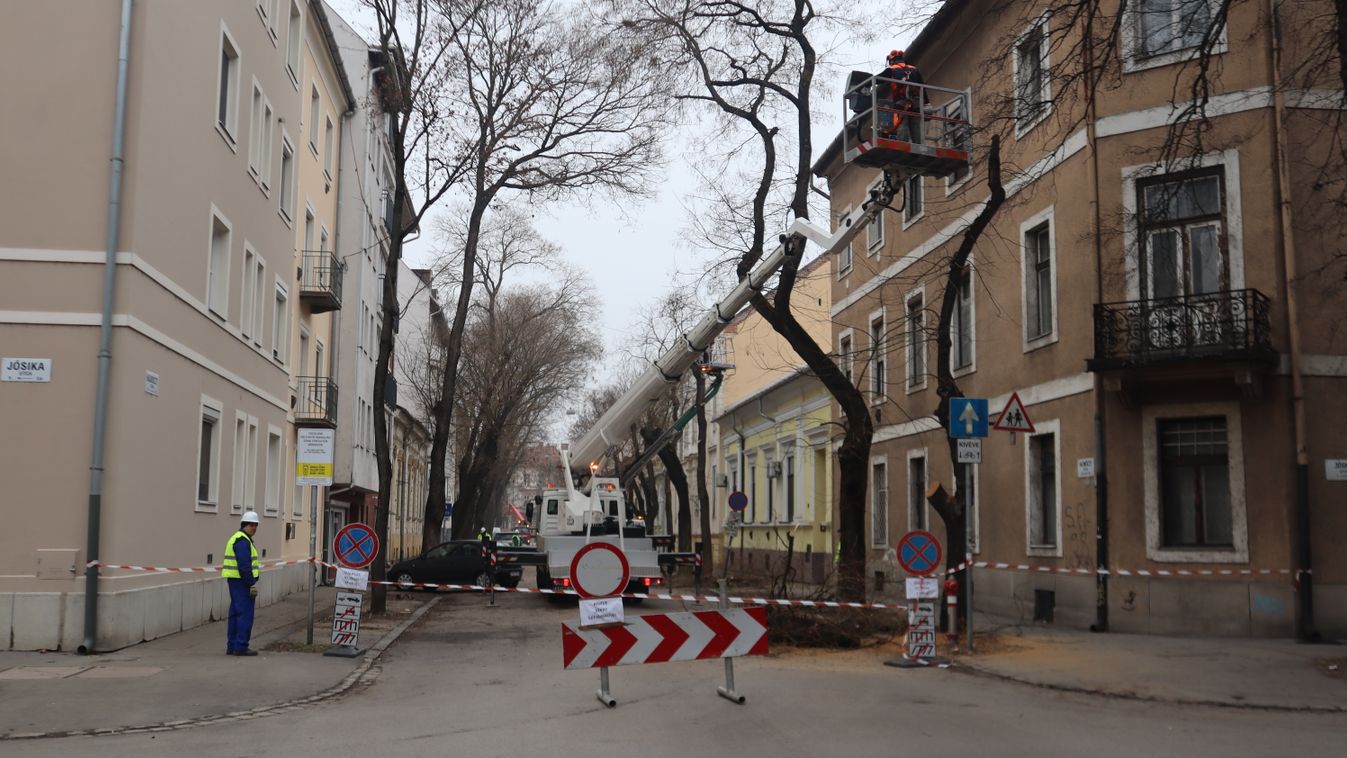 Lezárták a Hajnóczy utca egy szakaszát, elindult a favágás +fotók +videó