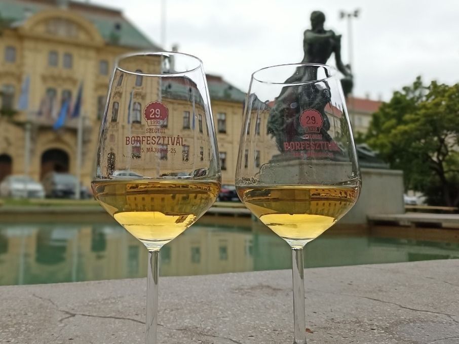 Világszinten is nagyot ment a magyar bor