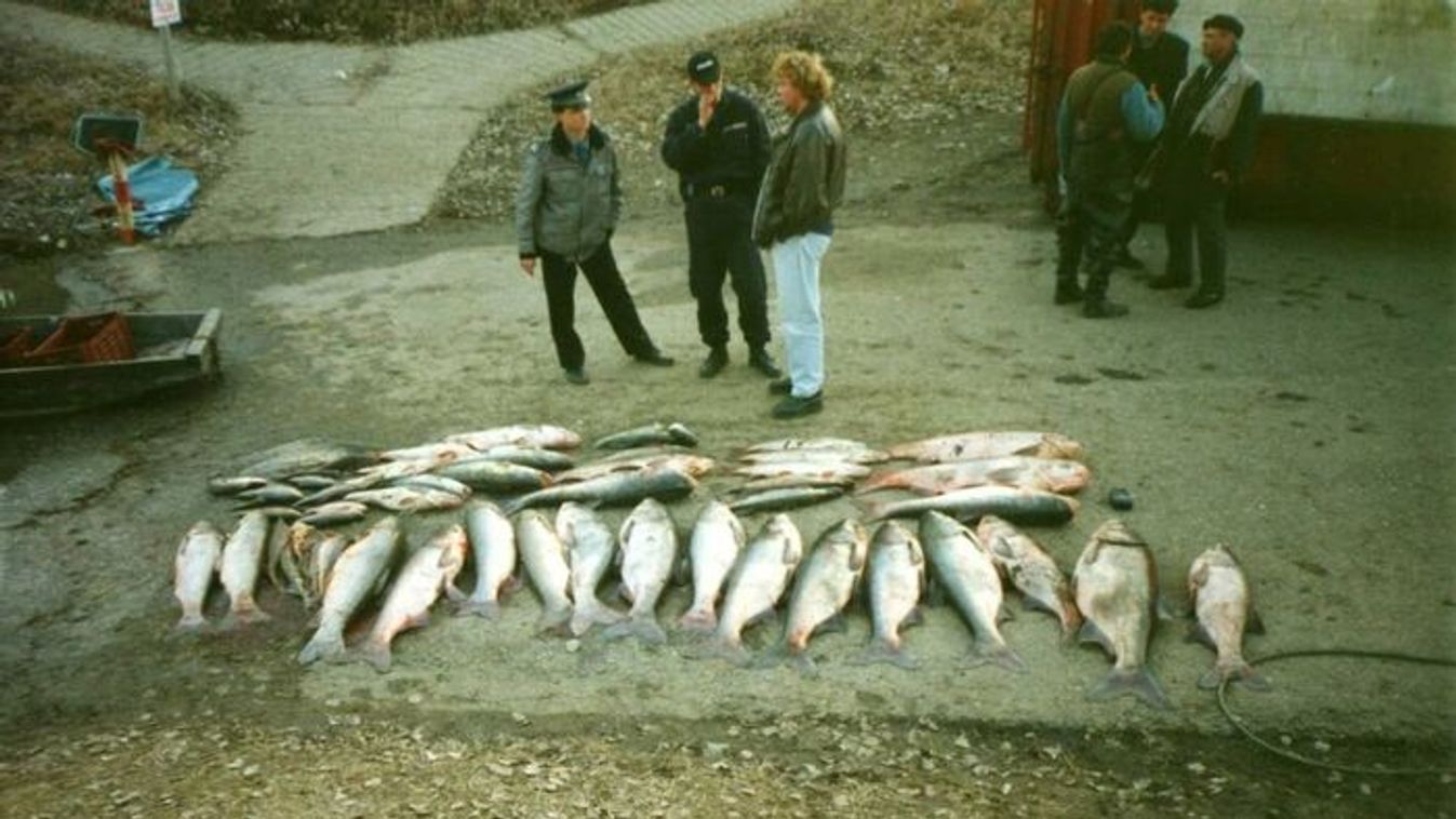 Huszonhat éve történt a katasztrófa, ami csaknem elpusztította a Tisza élővilágát