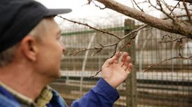 Kétmilliárd forintnyi vissza nem térítendő támogatással segíti az agrártárca