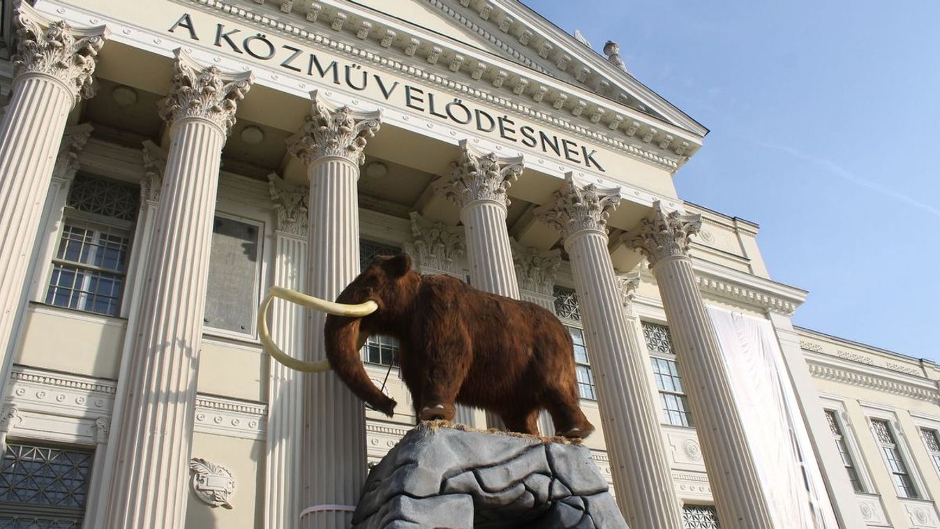 Százezredik vendég a Móra Ferenc Múzeumban: tarol a jégkorszak-kiállítás