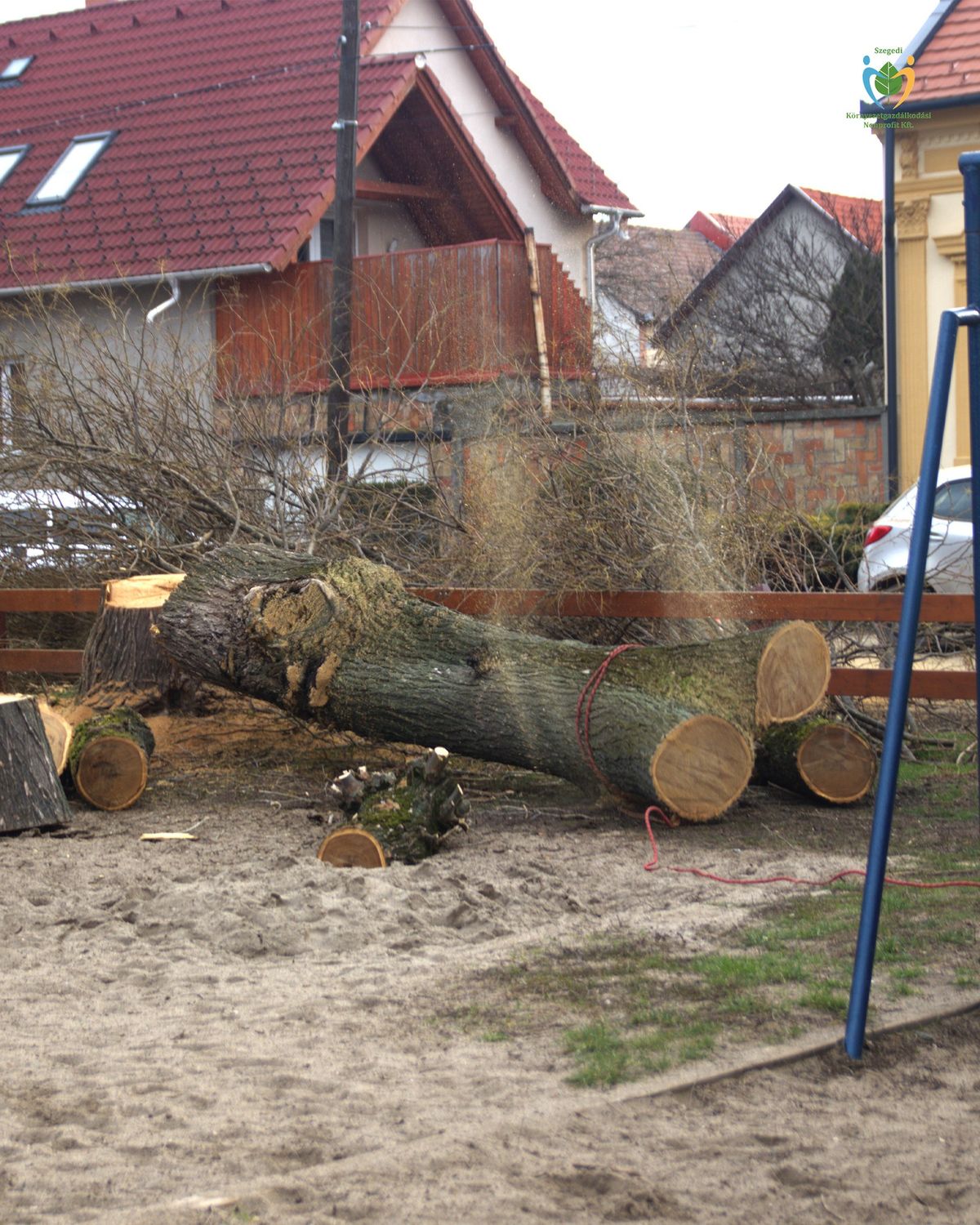 Újabb helyszínen vágták ki a fákat Szegeden