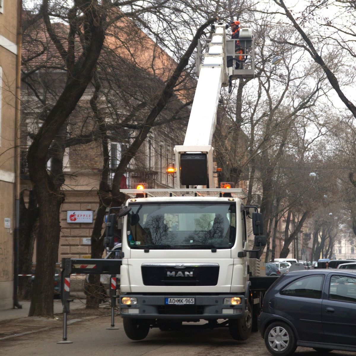 Hatékonyabban végzi a munkát az új géppel a szegedi fanyeső brigád. Fotó: Szegedi Környezetgazdálkodási Nonprofit Kft