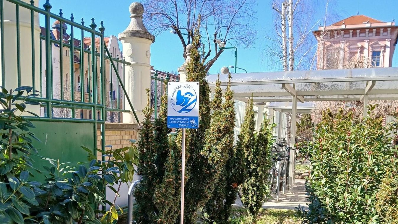 Madárbarát munkahely lett a Szegedi Vízmű