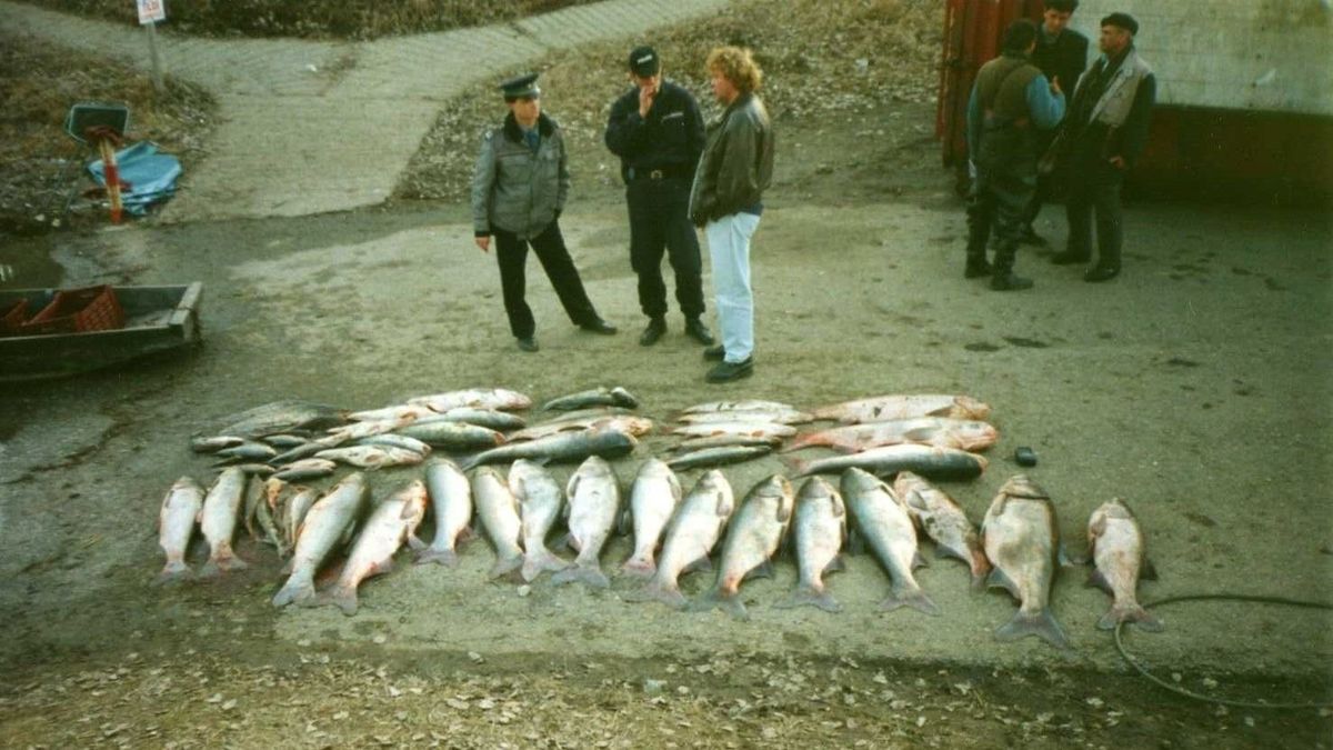 Soha nem látott katasztrófa történt, csodával határos módon állt helyre a Tisza. (Fotó: MW archív)
