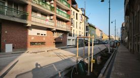Újabb mérföldkő: több mint egy év után ismét vannak fák a Gogol utcában +videó