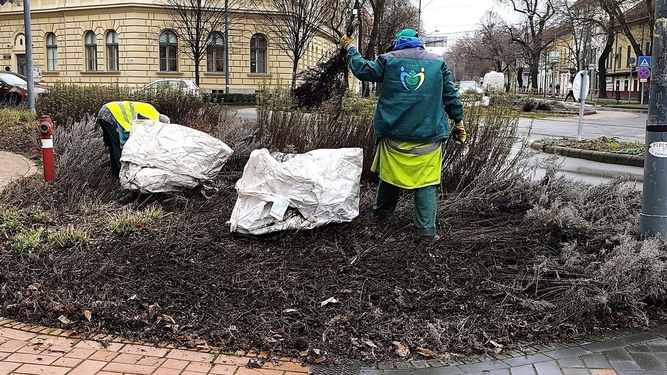 Szeged készül a tavaszra: megújulnak a parkok és a játszóterek +fotók