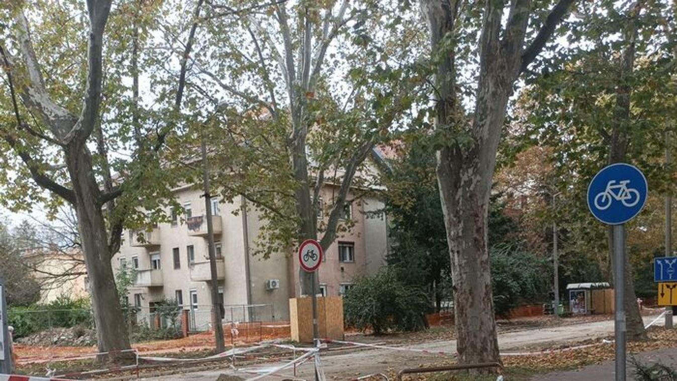 Kerékpárost gázolt egy autó a Temesvári körúton Szegeden