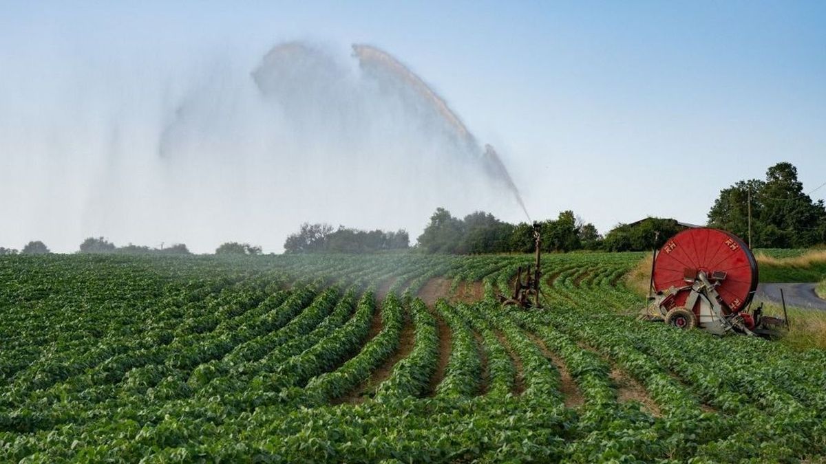 Lázár János megerősítette: Szeged a modern autóipar, Békéscsaba pedig a megújuló agrárium révén válik a régió meghatározó központjává. Fotó: AFP
