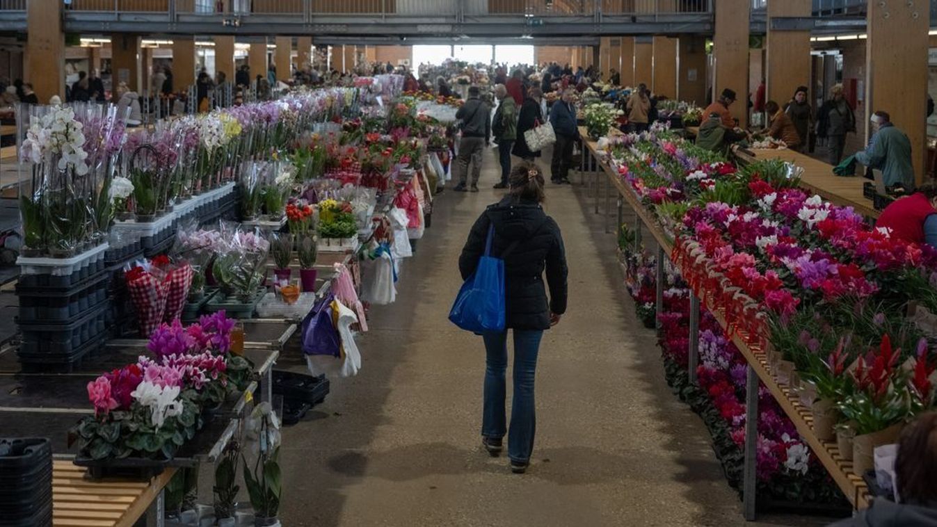 Ennyibe kerül a nőnapi virág Szegeden: körkép a Mars téri piacról